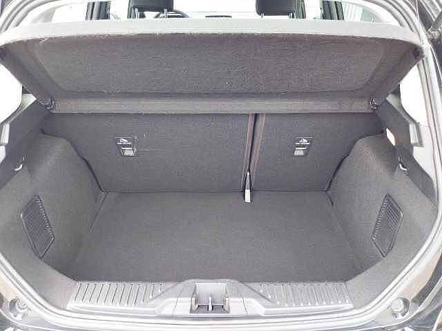 Ford Fiesta 1.0 Flexifuel 95 ch S&amp;S BVM6