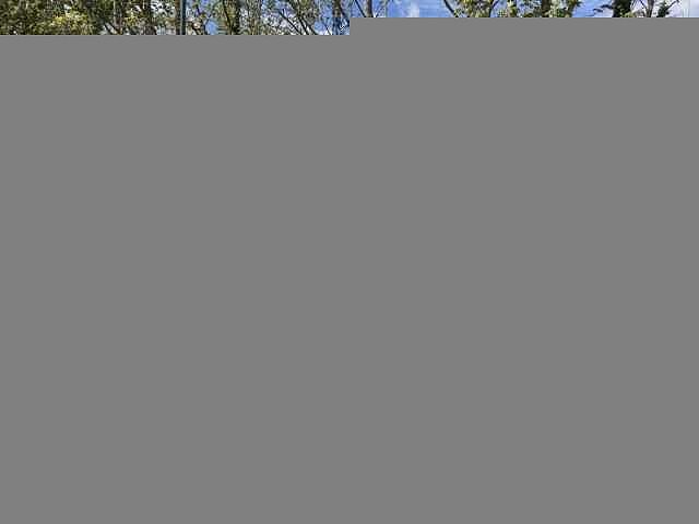 Peugeot 2008 1.2 PureTech 110ch GT Line S&amp;S EAT6